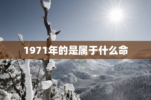 1971年的是属于什么命