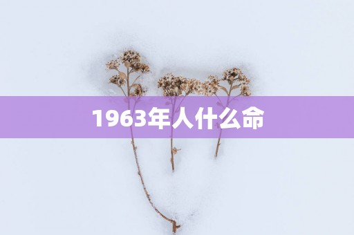 1963年人什么命