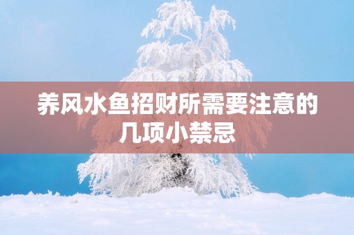 养风水鱼招财所需要注意的几项小禁忌
