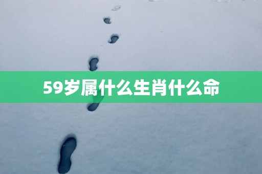 59岁属什么生肖什么命
