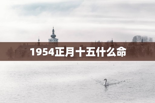 1954正月十五什么命
