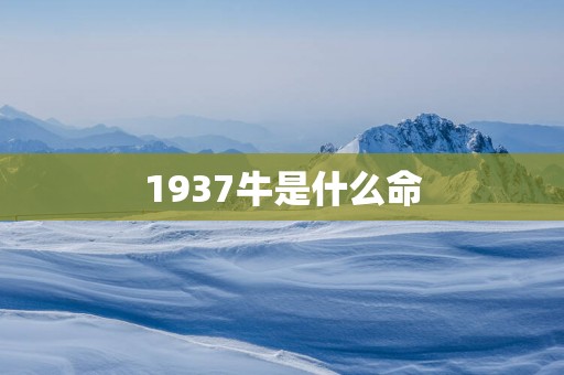1937牛是什么命