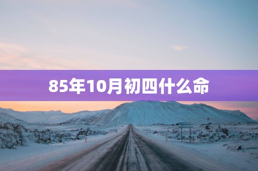 85年10月初四什么命