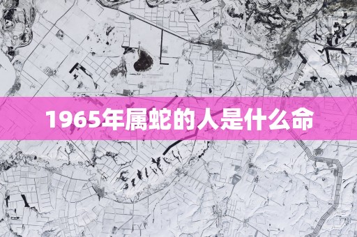 1965年属蛇的人是什么命