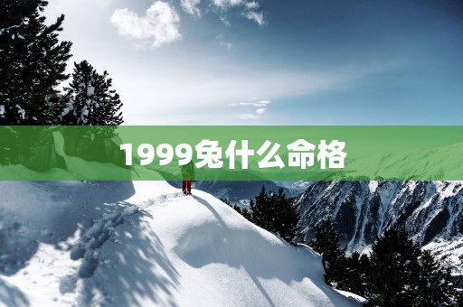 1999兔什么命格