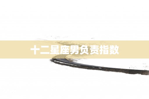 十二星座男负责指数