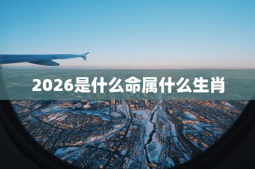 2026是什么命属什么生肖
