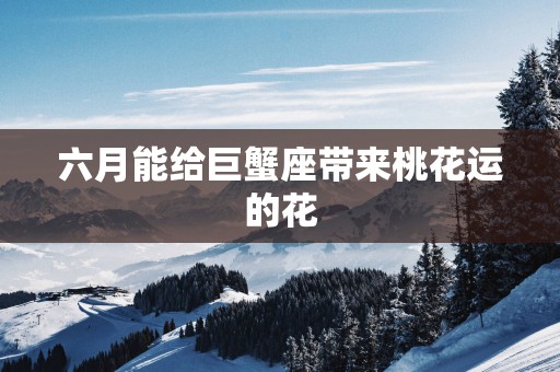 六月能给巨蟹座带来桃花运的花