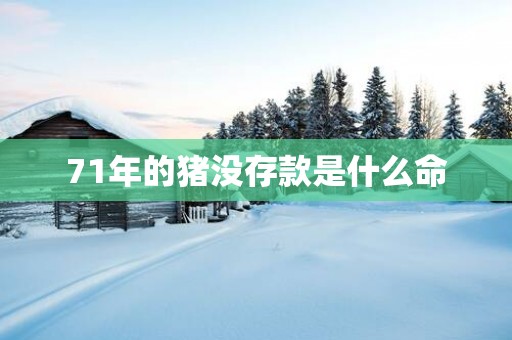 71年的猪没存款是什么命
