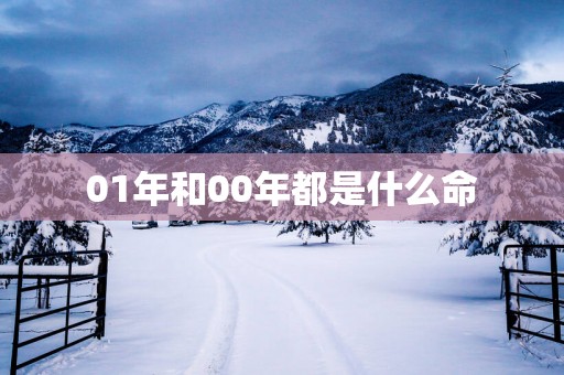 01年和00年都是什么命