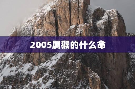 2005属猴的什么命