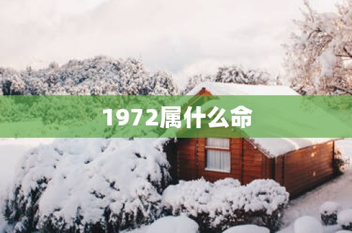 1972属什么命