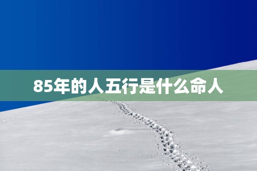 85年的人五行是什么命人