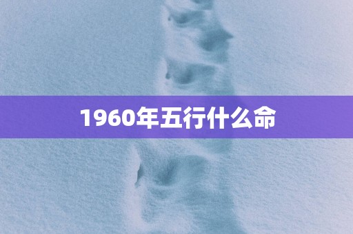 1960年五行什么命