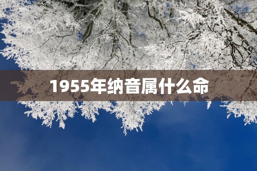 1955年纳音属什么命