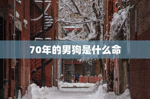 70年的男狗是什么命
