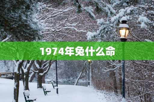 1974年兔什么命