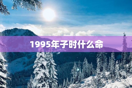 1995年子时什么命