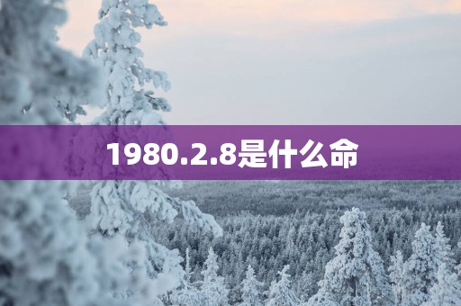 1980.2.8是什么命