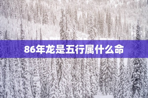 86年龙是五行属什么命