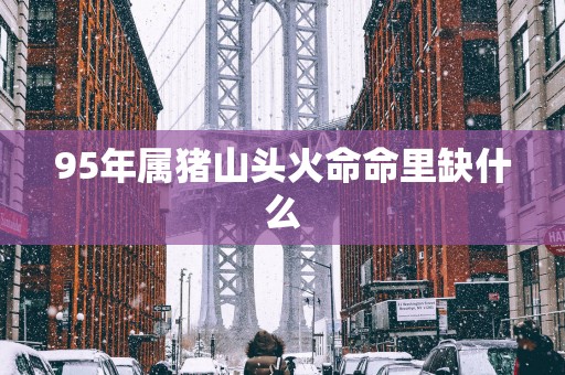 95年属猪山头火命命里缺什么