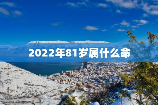 2025年81岁属什么命