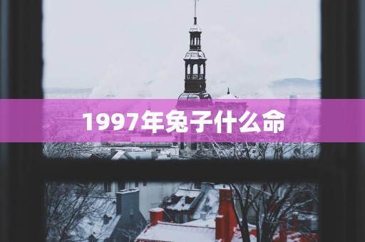 1997年兔子什么命