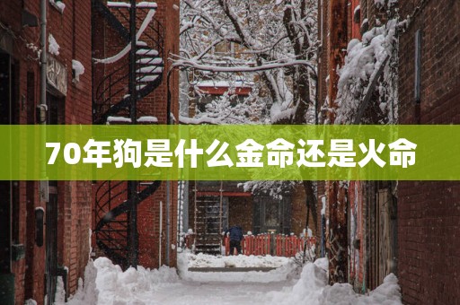 70年狗是什么金命还是火命