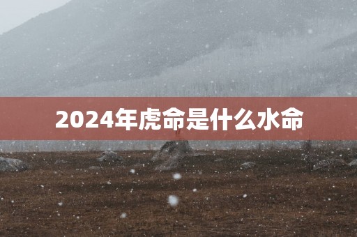 2025年虎命是什么水命