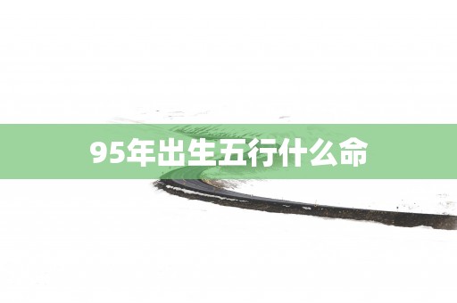 95年出生五行什么命