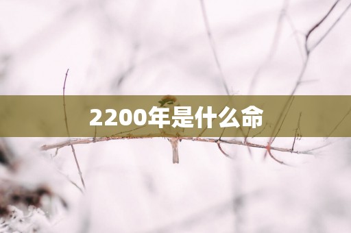 2200年是什么命