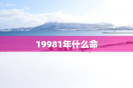 19981年什么命