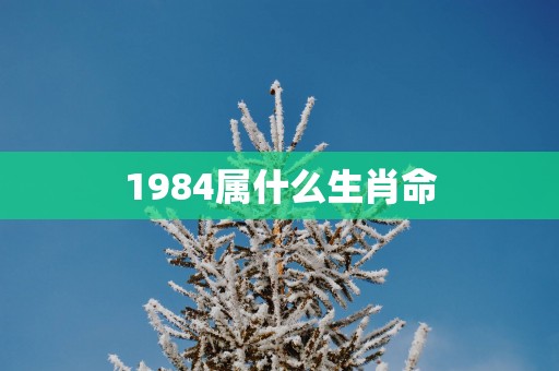 1984属什么生肖命