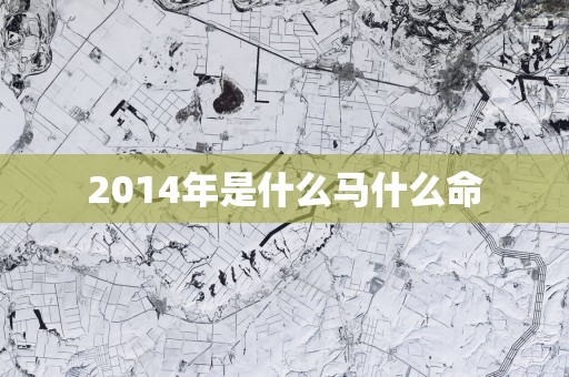 2014年是什么马什么命