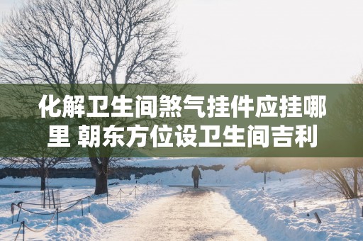 化解卫生间煞气挂件应挂哪里 朝东方位设卫生间吉利