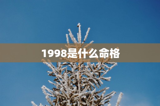 1998是什么命格