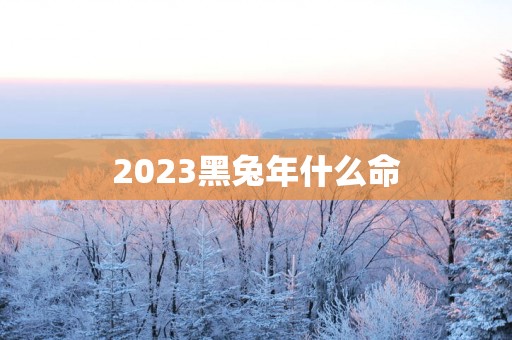 2025黑蛇年什么命