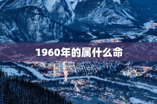1960年的属什么命
