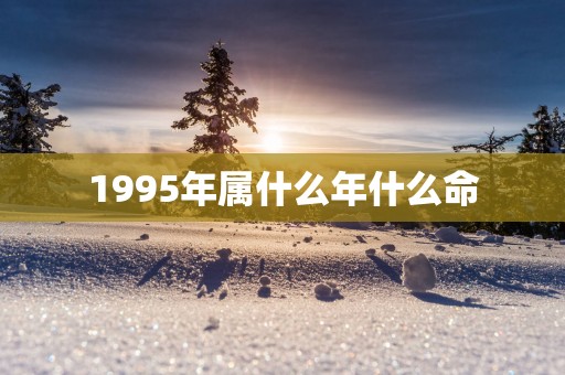 1995年属什么年什么命