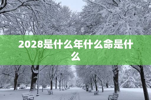 2028是什么年什么命是什么