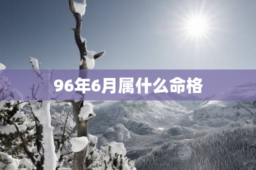 96年6月属什么命格