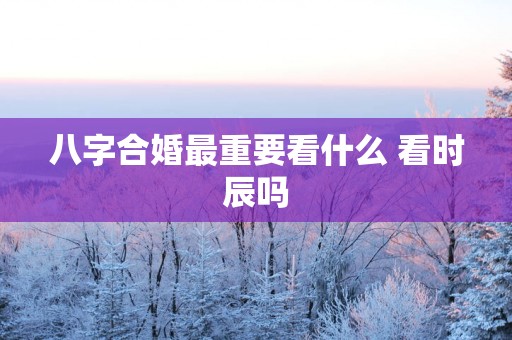八字合婚最重要看什么 看时辰吗