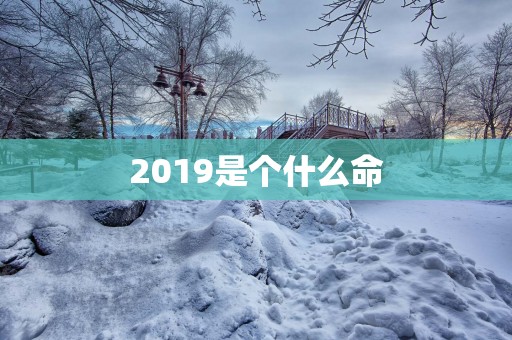 2019是个什么命