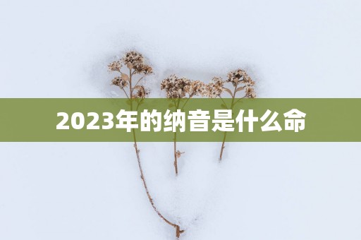 2025年的纳音是什么命