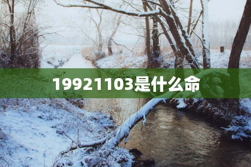 19921103是什么命