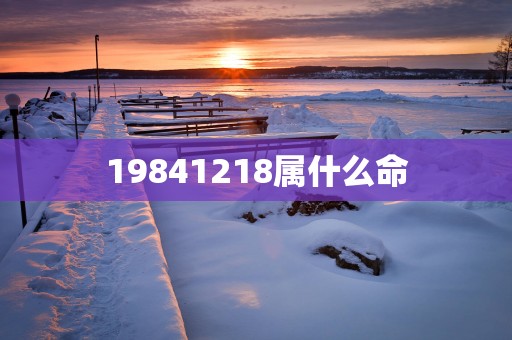 19841218属什么命