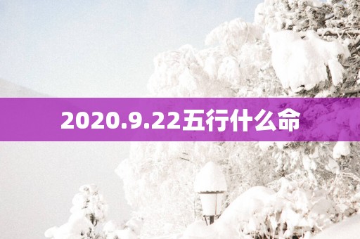 2025.9.22五行什么命