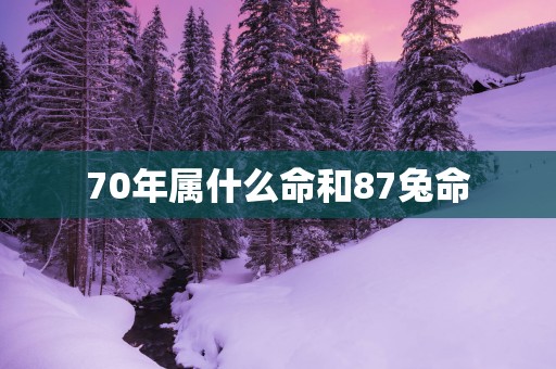 70年属什么命和87兔命