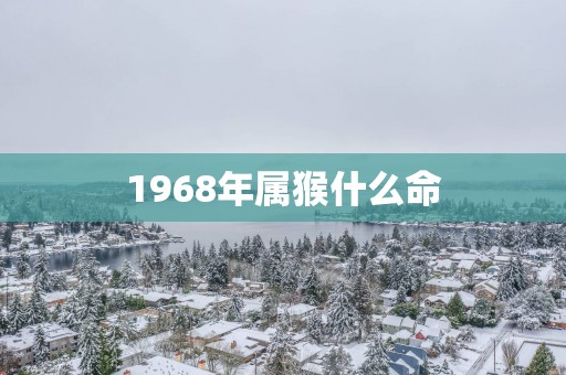 1968年属猴什么命