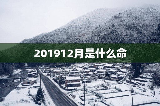 201912月是什么命